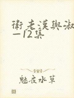 卫老汉与淑蓉8—12集