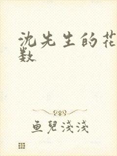 沈先生的花式调数