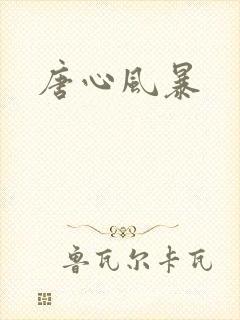 唐心风暴