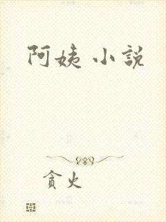 阿姨 小说封面