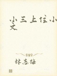 小三上位小说全文封面