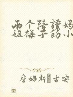 两个陪读妈妈赵姐梅子的小说