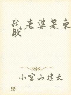 我老婆是东方不败