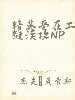 精英受在工地被糙汉攻NP封面