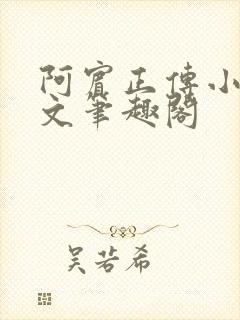 阿宾正传小说全文笔趣阁封面
