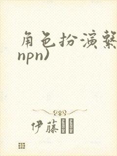 角色扮演系统(npn)