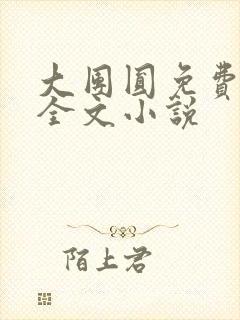 大团圆免费阅读全文小说