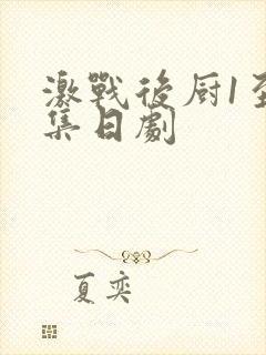 激战后厨1至5集日剧