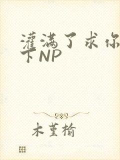 灌满了求你们停下NP