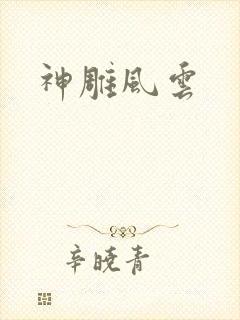 神雕风云