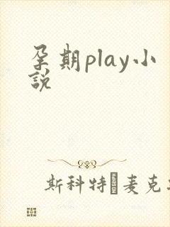 孕期play小说