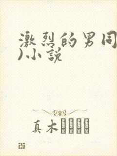 激烈的男同(h)小说