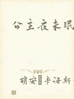 公主夜未眠