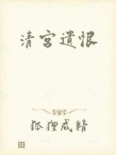 清宫遗恨封面