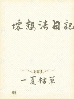 坏想法日记封面