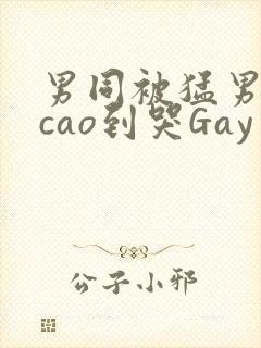 男同被猛男房东cao到哭Gay封面