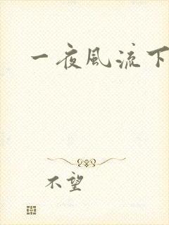 一夜风流下载