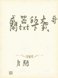 成器的大哥笔趣阁txt下载