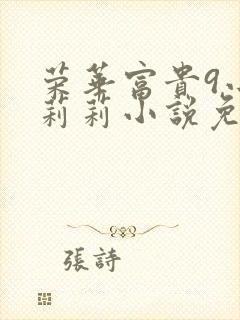 荣华富贵9小王莉莉小说免费阅读封面