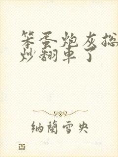 笨蛋炮灰总被爆炒翻车了