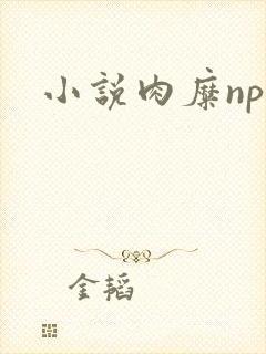 小说肉糜np封面