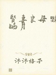 贤妻良母 鹦鹉晒月