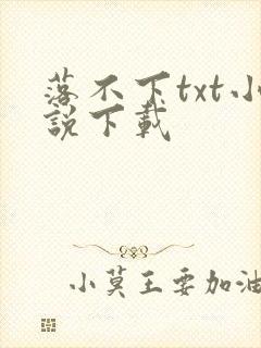 落不下txt小说下载