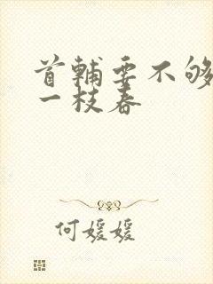 首辅要不够po一枝春