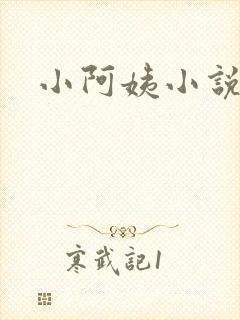 小阿姨小说封面