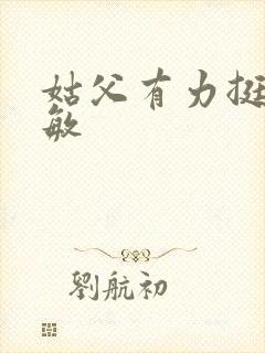 姑父有力挺送赵敏