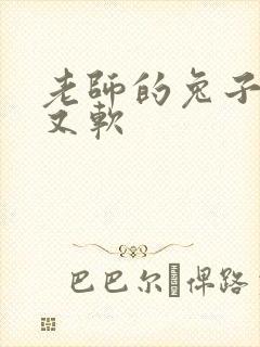 老师的兔子又大又软