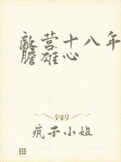 敌营十八年2虎胆雄心封面