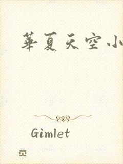 华夏天空小说网