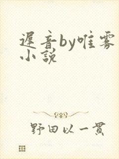 迟音by唯雾的小说