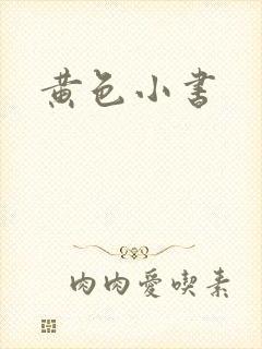 黄色小书