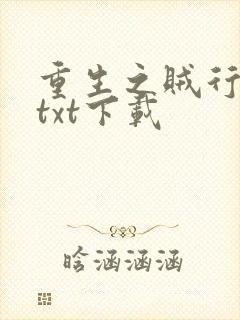 重生之贼行天下txt下载