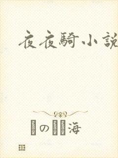 夜夜骑小说