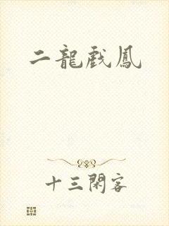 二龙戏凤封面