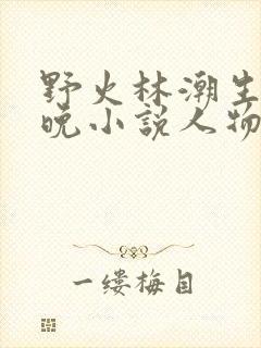 野火林潮生林晚晚小说人物野火