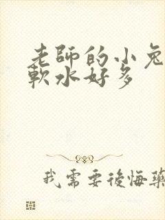 老师的小兔子好软水好多封面