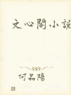 文心阁小说