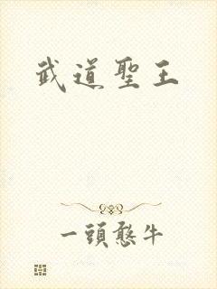 武道圣王