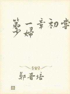 第一章初尝极品少妇