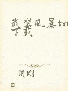 武装风暴txt下载