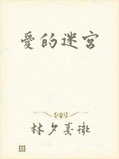 爱的迷宫