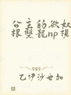 公主的欲奴h四根双龙np视频