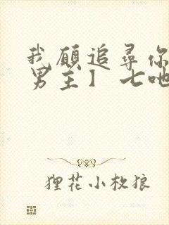 我愿追寻你【双男主】 七吔封面