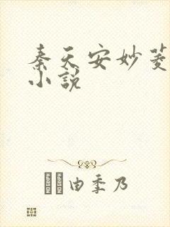 秦天安妙菱修仙小说封面