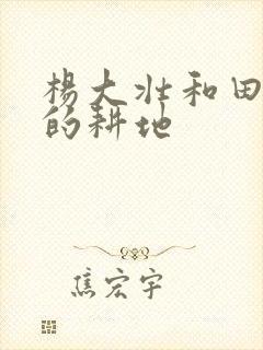 杨大壮和田桂花的耕地封面