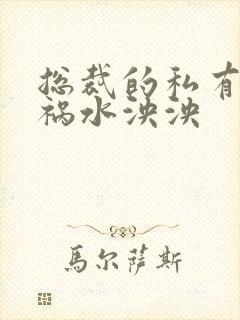 总裁的私有宝贝祸水泱泱